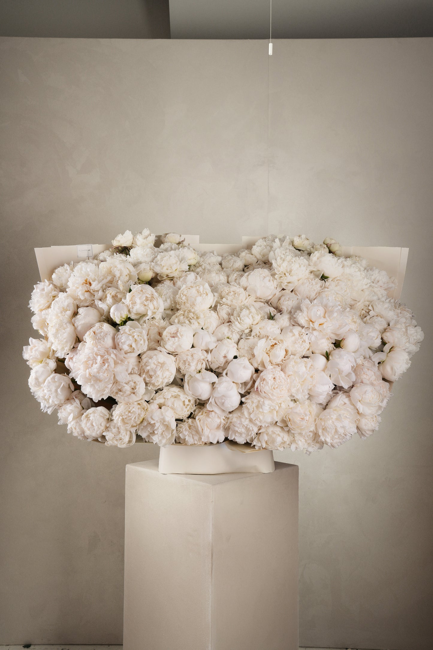 200 White Peony Handtied Bouquet