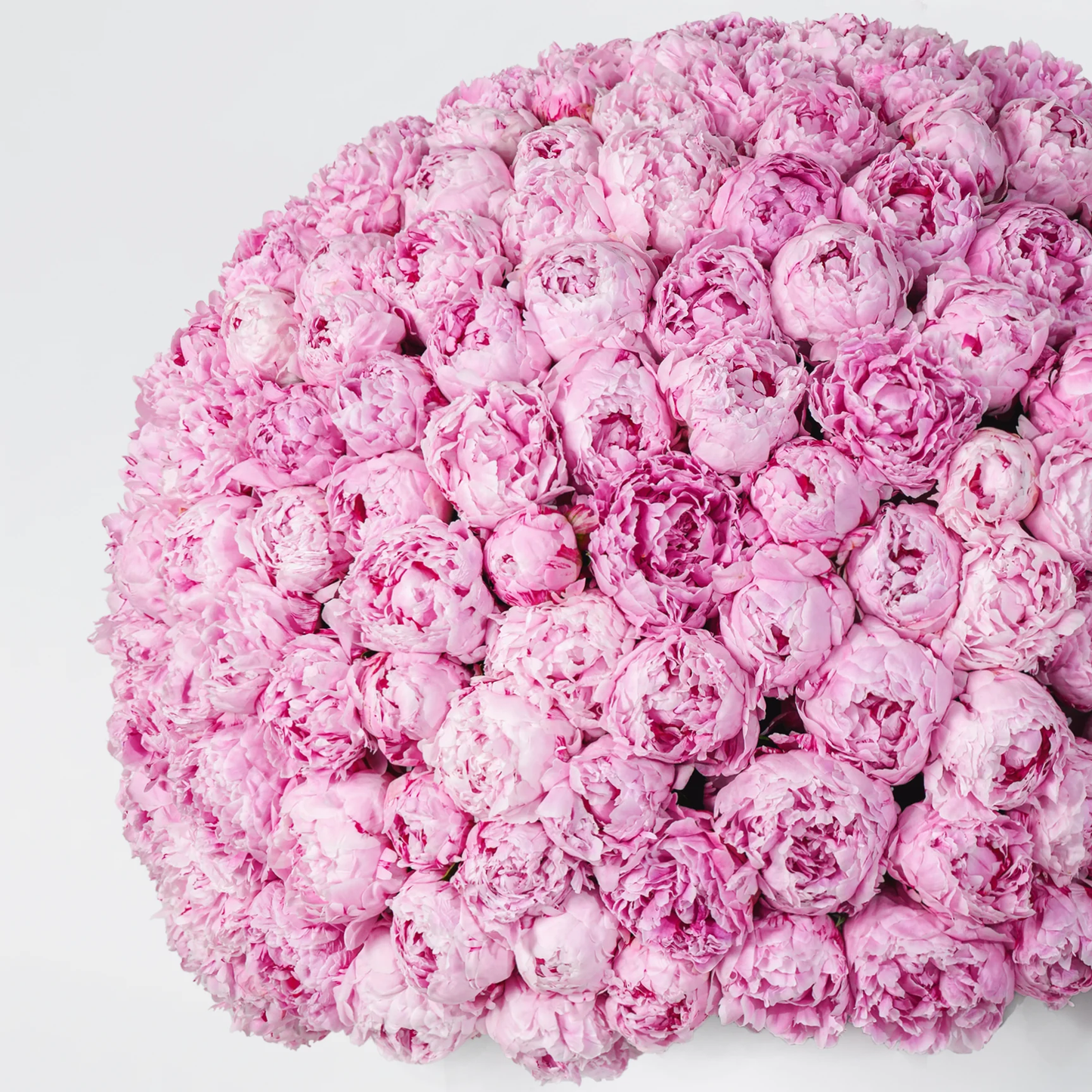 Royale Pink Peony Hatbox