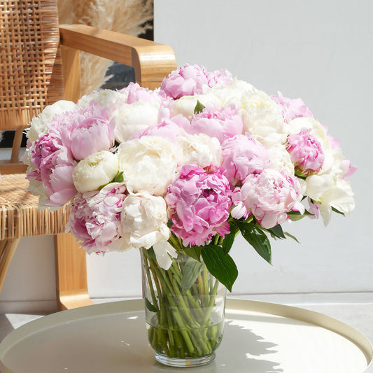 Mixed Pink and White Peonies