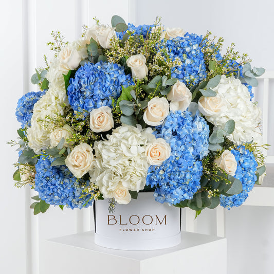 Baby Heavenly Blue *