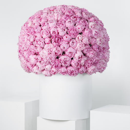 Royale Pink Peony Hatbox