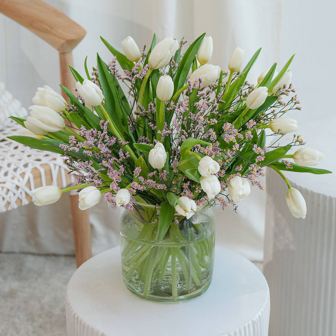 White orchid In white pot