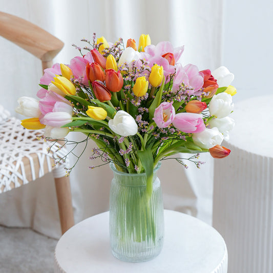 Pink orchid in white vase