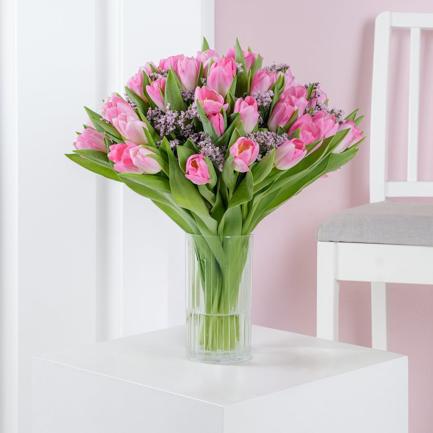 Pink orchid in white vase