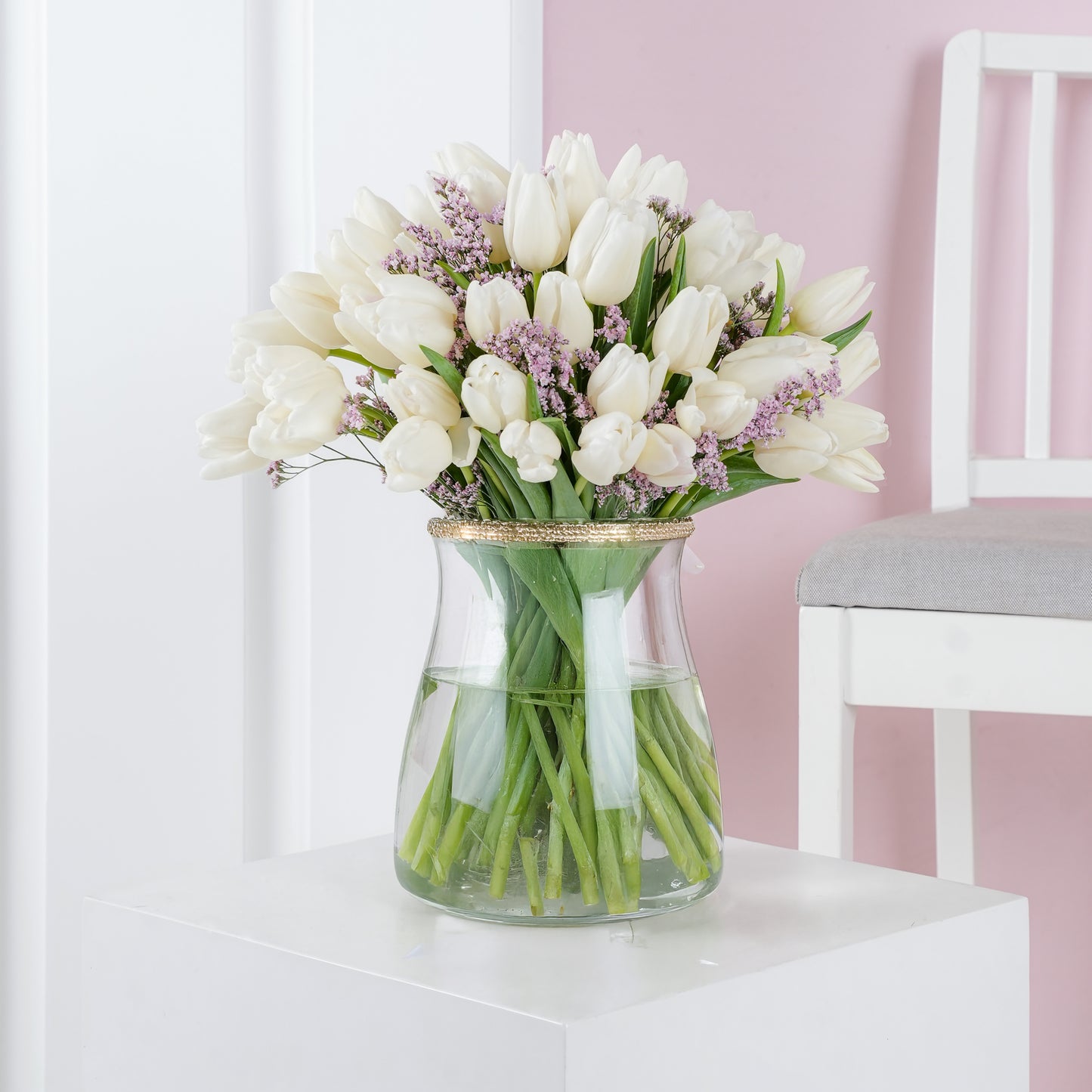 White orchid In white pot