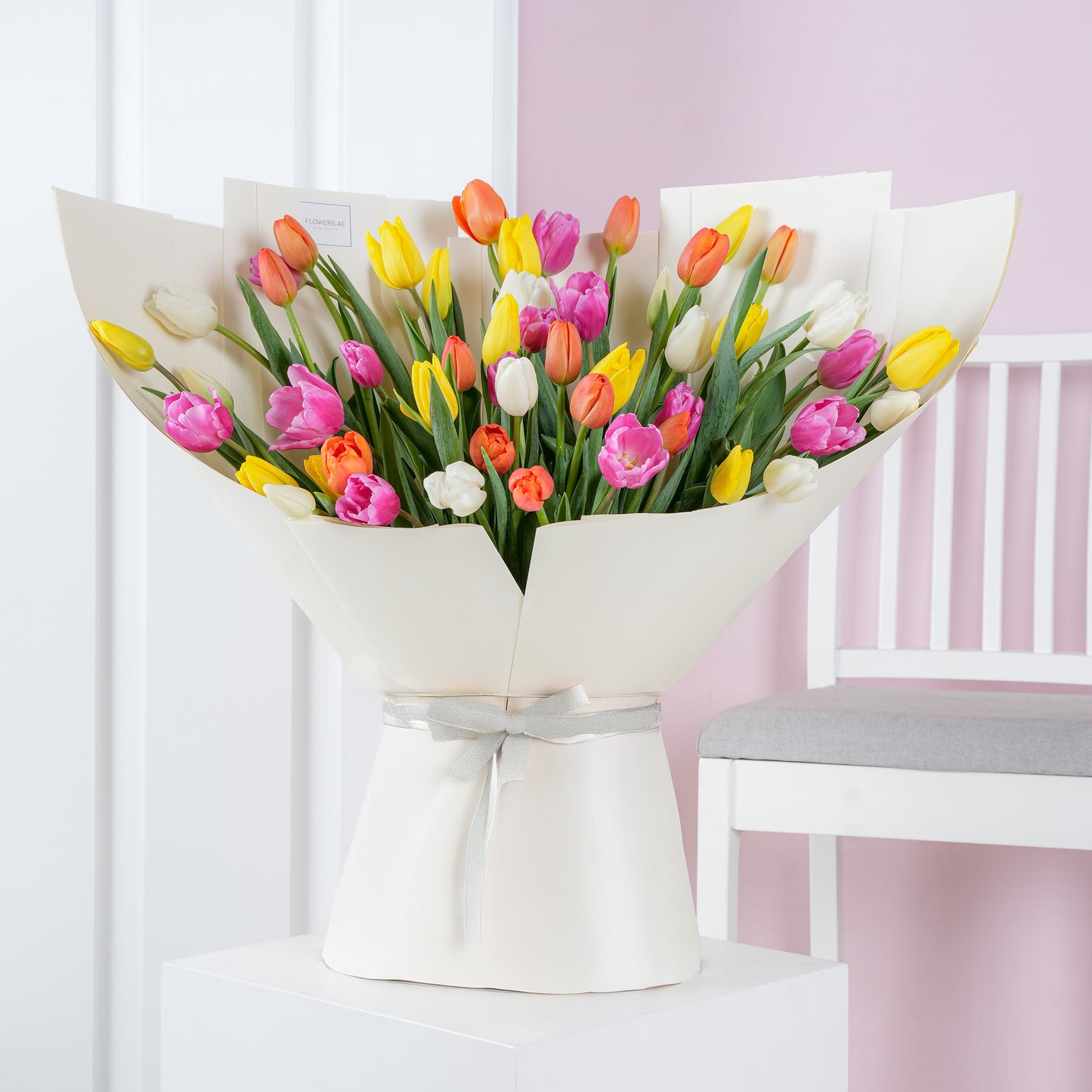 Pink and yellow orchid in white vase