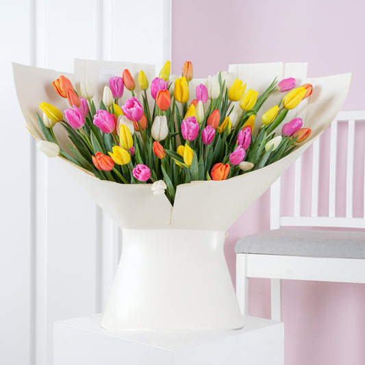 Pink and yellow orchid in white vase