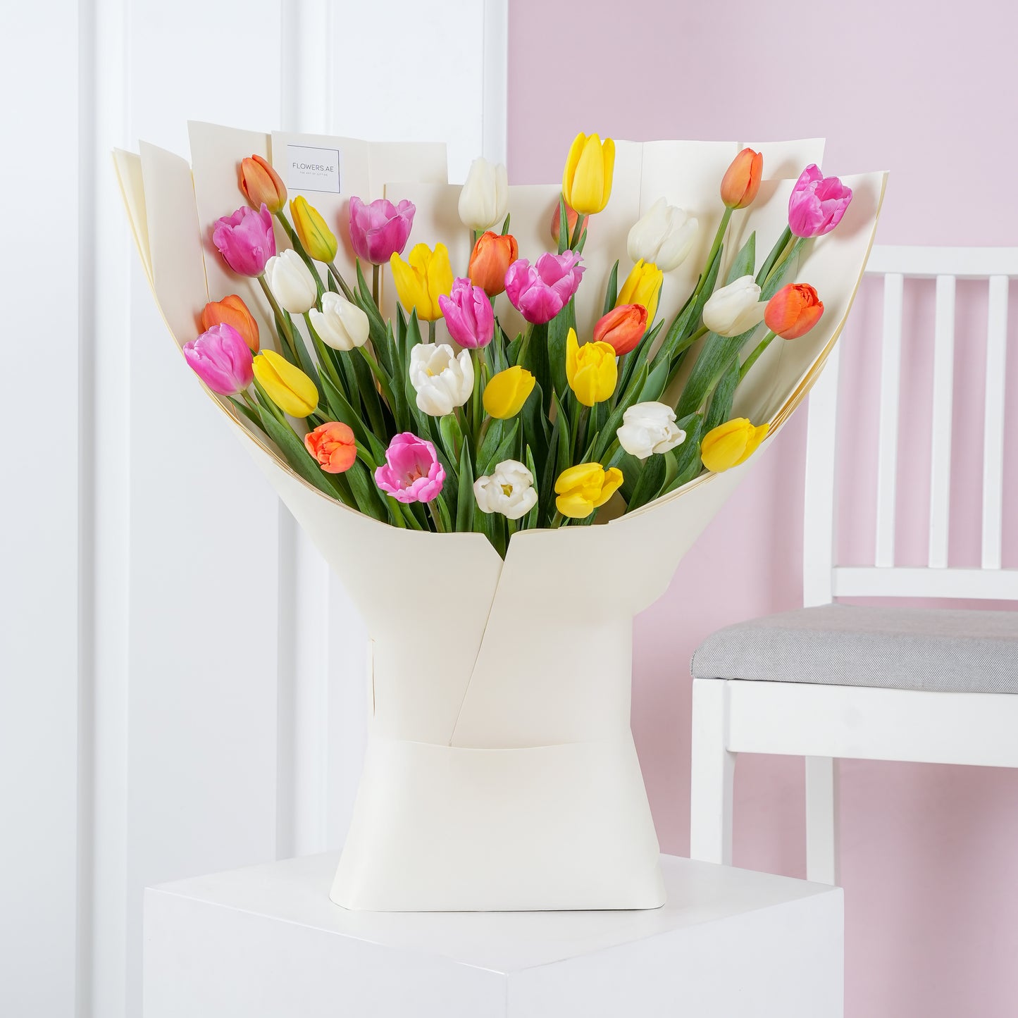 Pink and yellow orchid in white vase