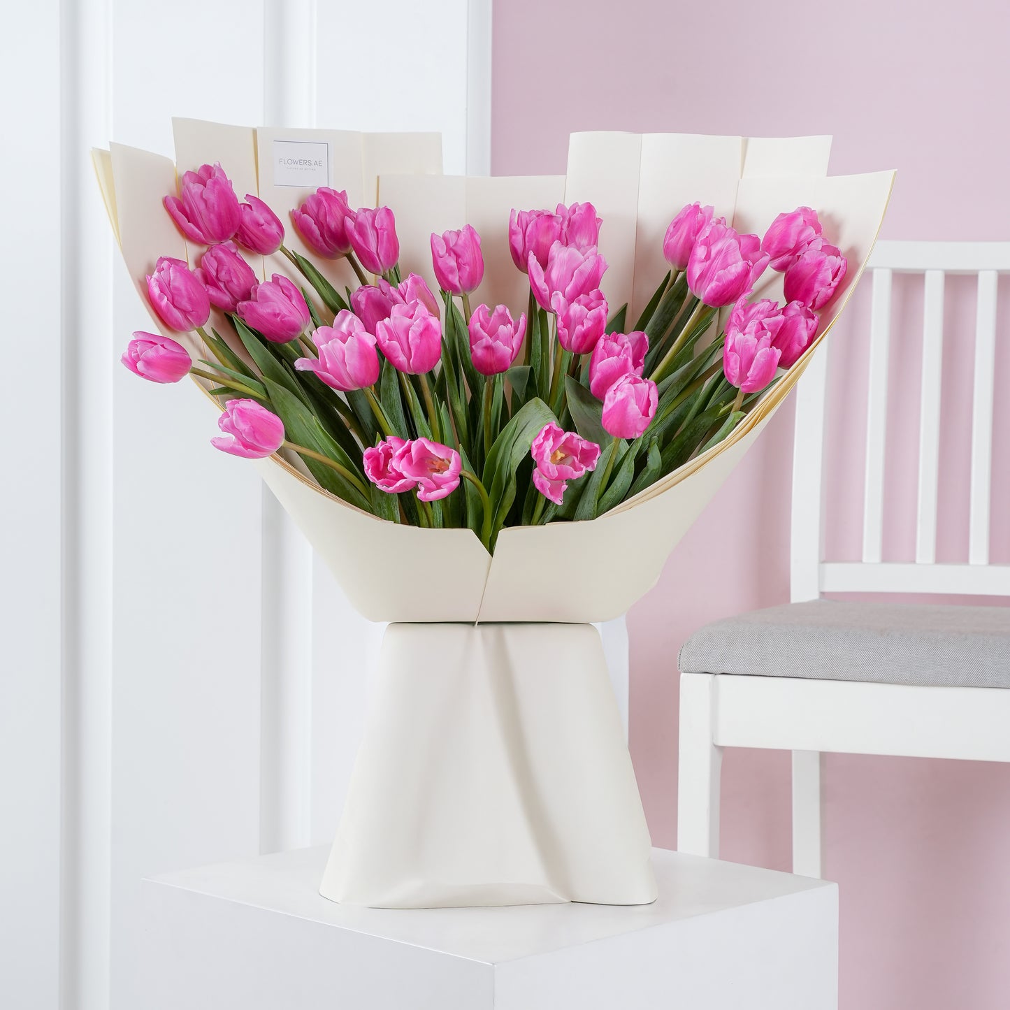 Pink orchid in white pot