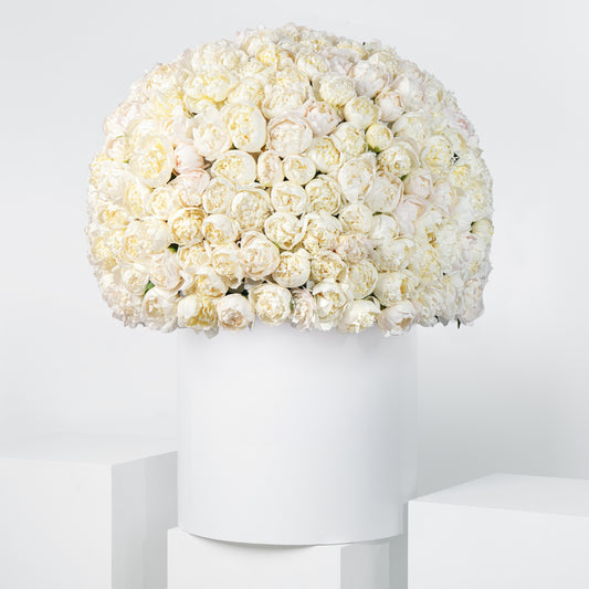 Royale White Peony Hatbox