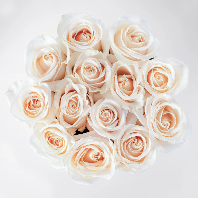 White Roses Hatbox