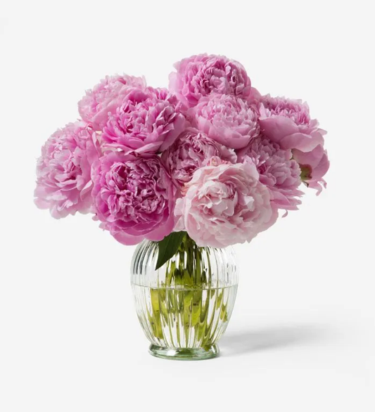 Sarah Bernard Peony  Vase