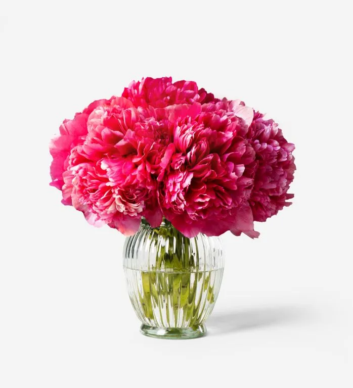 Command Performance Peony Vase