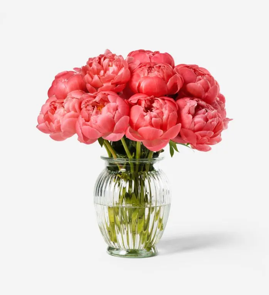 Coral Sunset Peony Vase